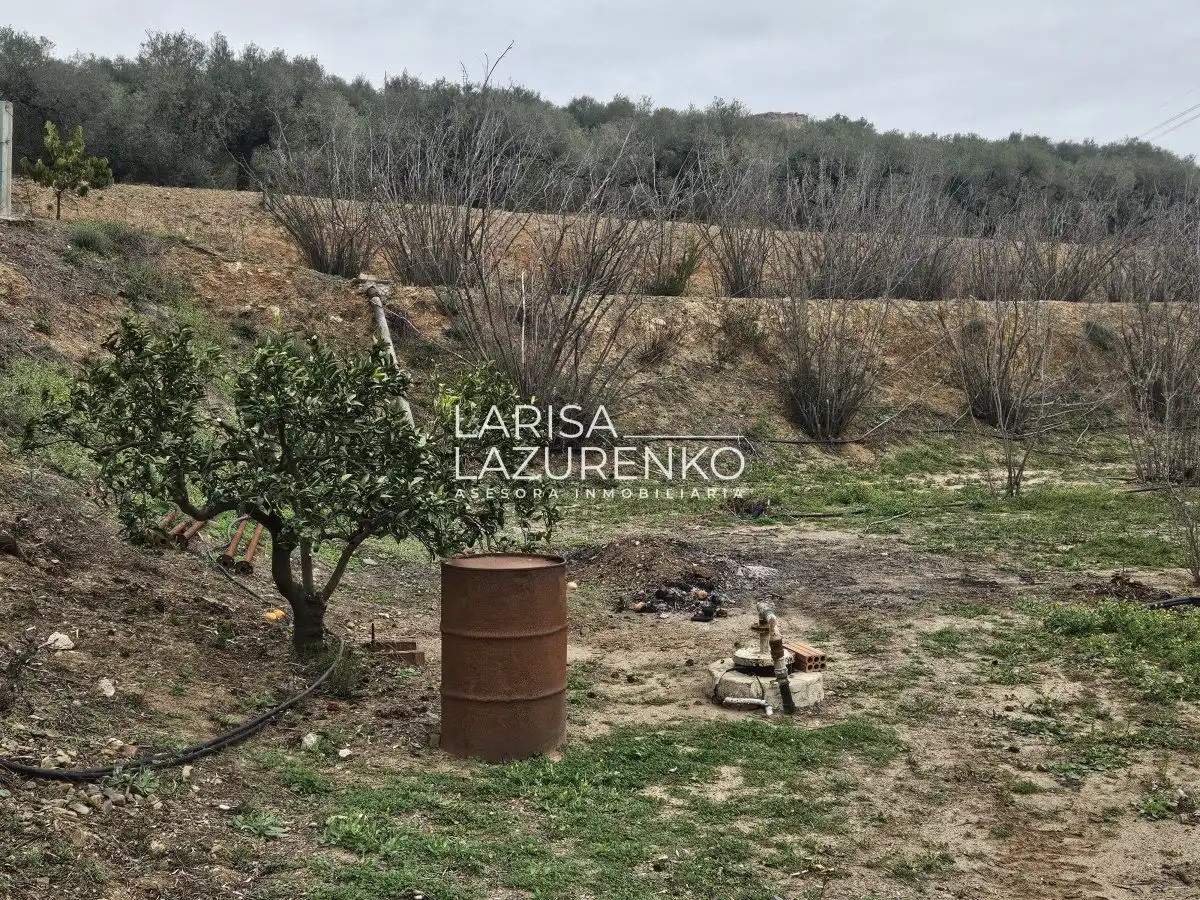 Finca rústica en venda en Riudoms