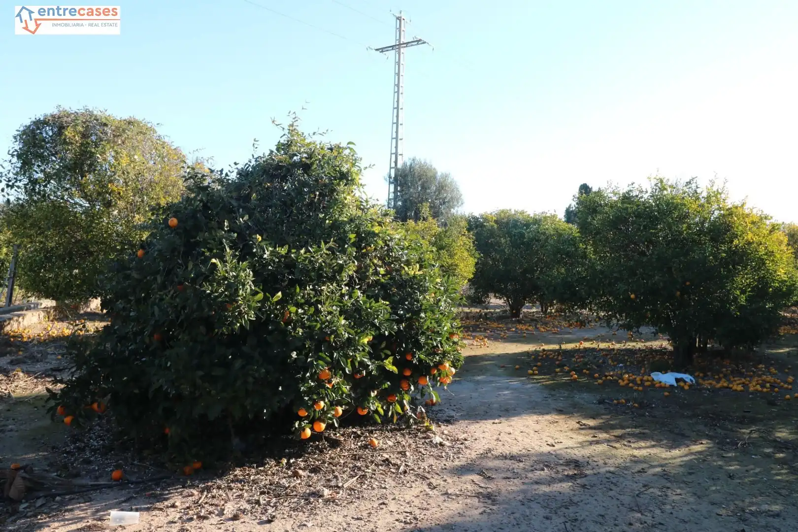 Rural land for sale in Canet d'En Berenguer, imagen 19