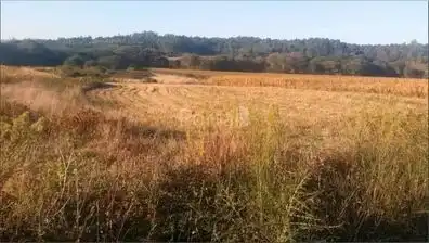 Terreno rustico in vendita a Zas, imagen 5