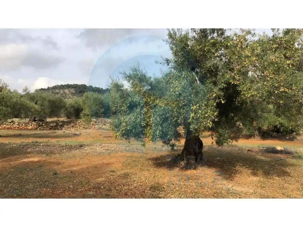 Finca rústica en venda en L'Ampolla