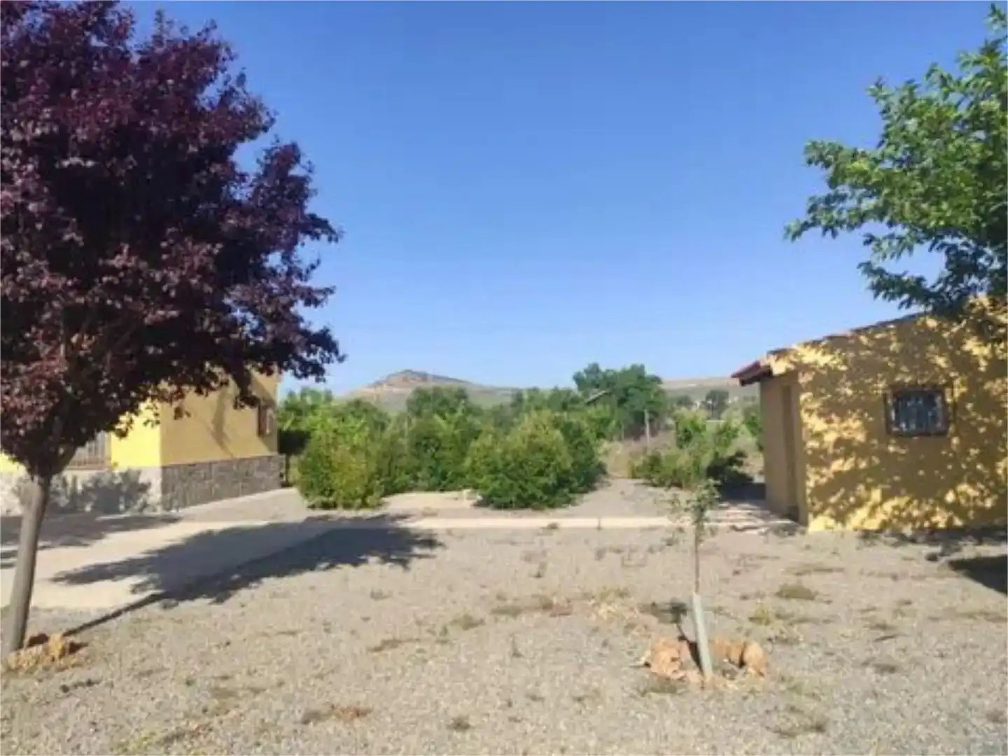 Finca rústica en venda en Consuegra amb Jardí privat i Moblat
