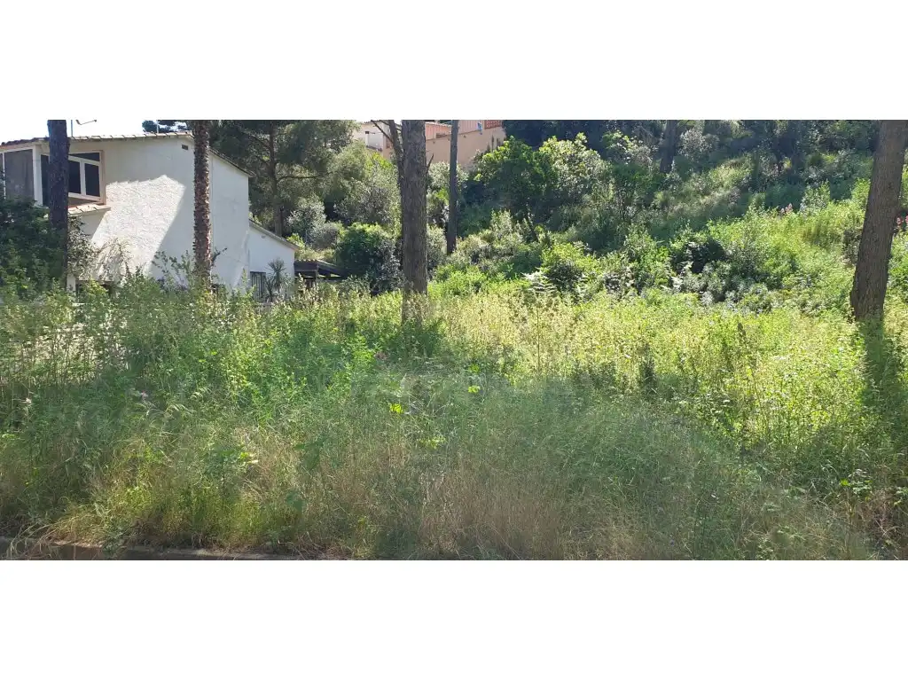 Terrain résidentiel à vendre à Platja de Pals, imagen 7