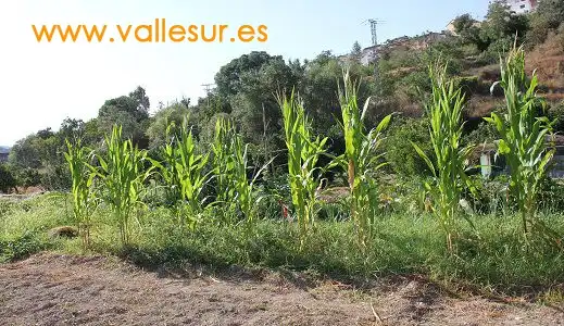 Terreni e lotti in vendita a carretera N. 3204, imagen 14