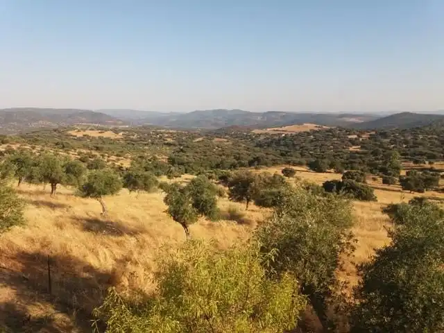 Residential land for sale in Fuente Obejuna, imagen 34