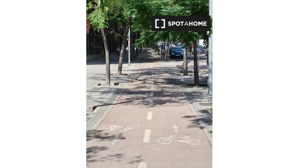 Appartement à louer à Centro, imagen 14