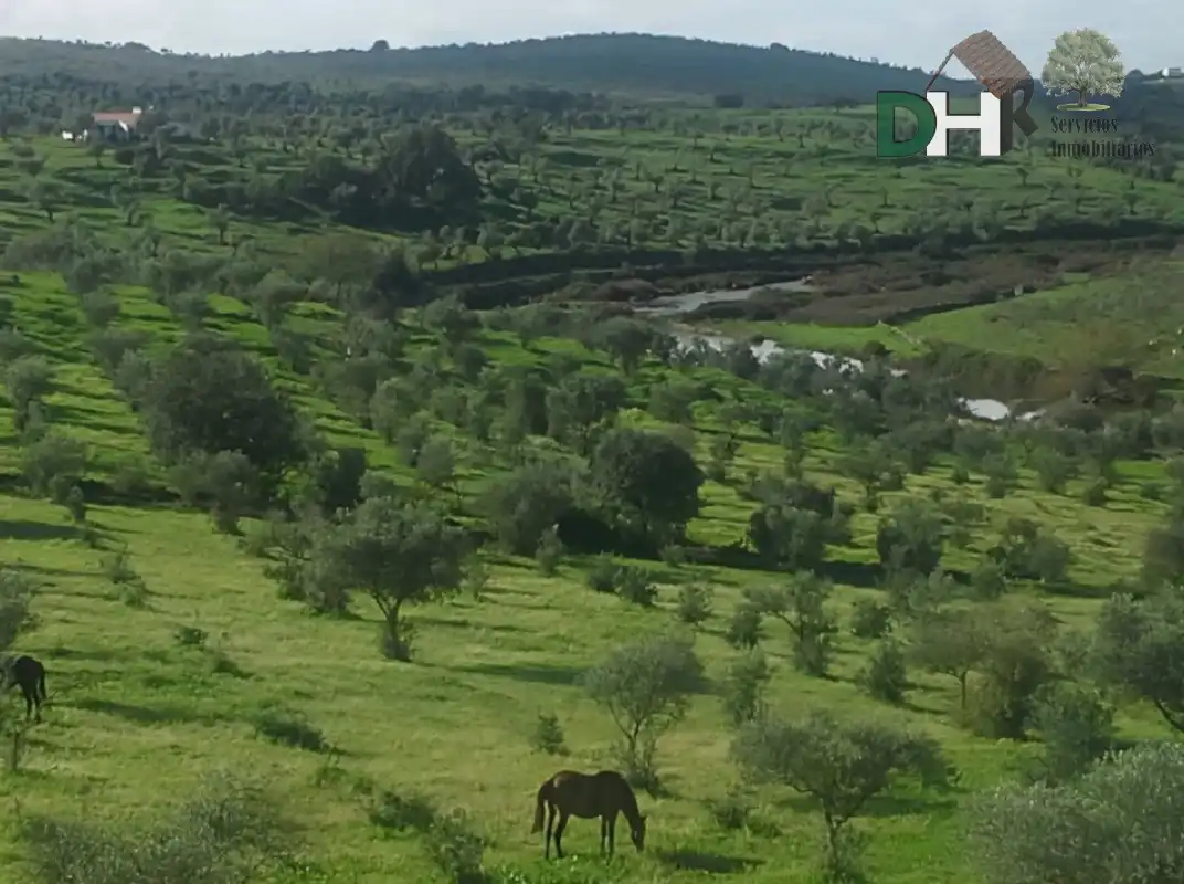 Residencial en venta en Cerro de Reyes