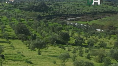 Foto 2 de Residencial en venta en Cerro de Reyes, Badajoz Capital