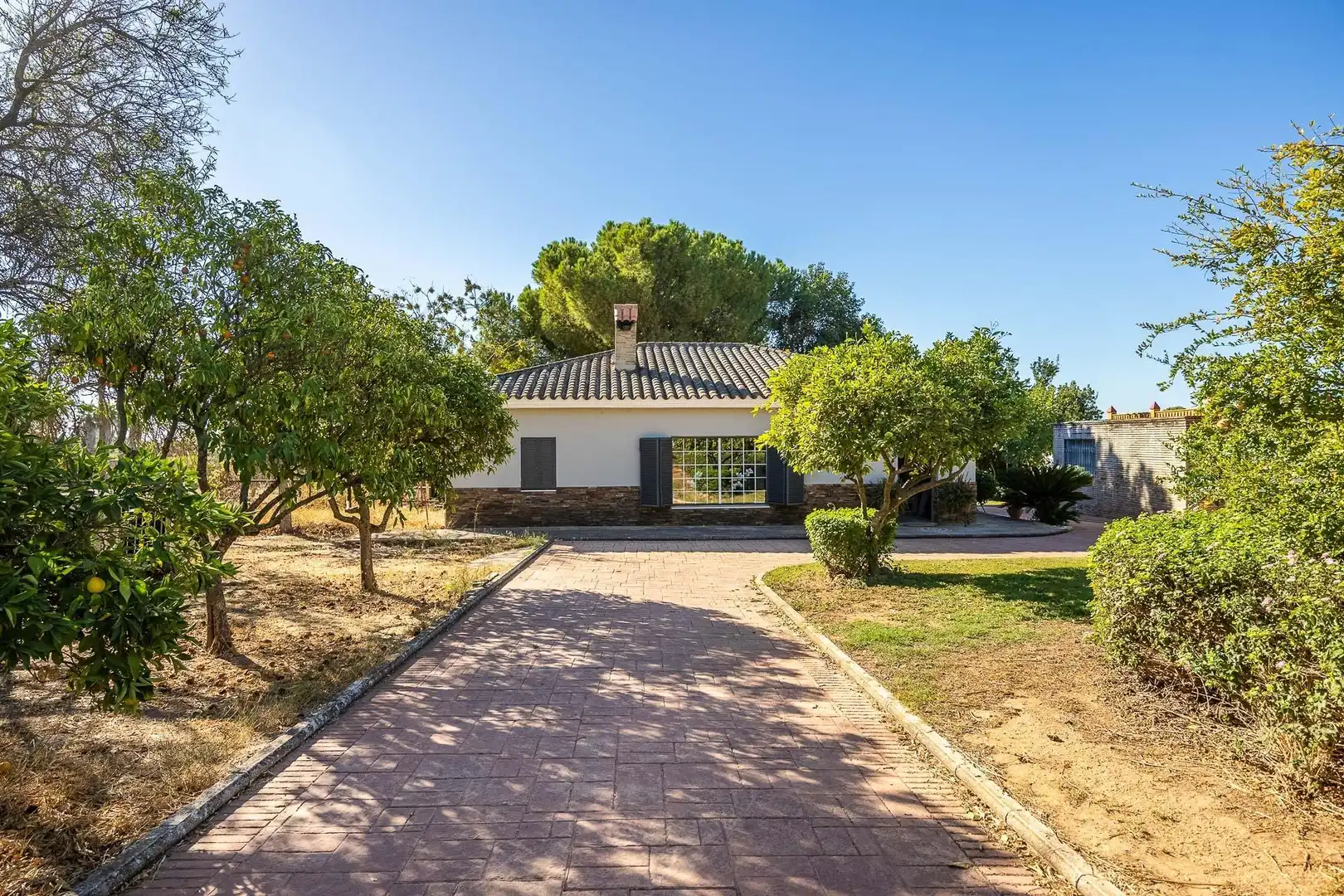Vista exterior de Casa o xalet en venda en Mairena del Aljarafe amb Aire condicionat, Jardí privat i Traster