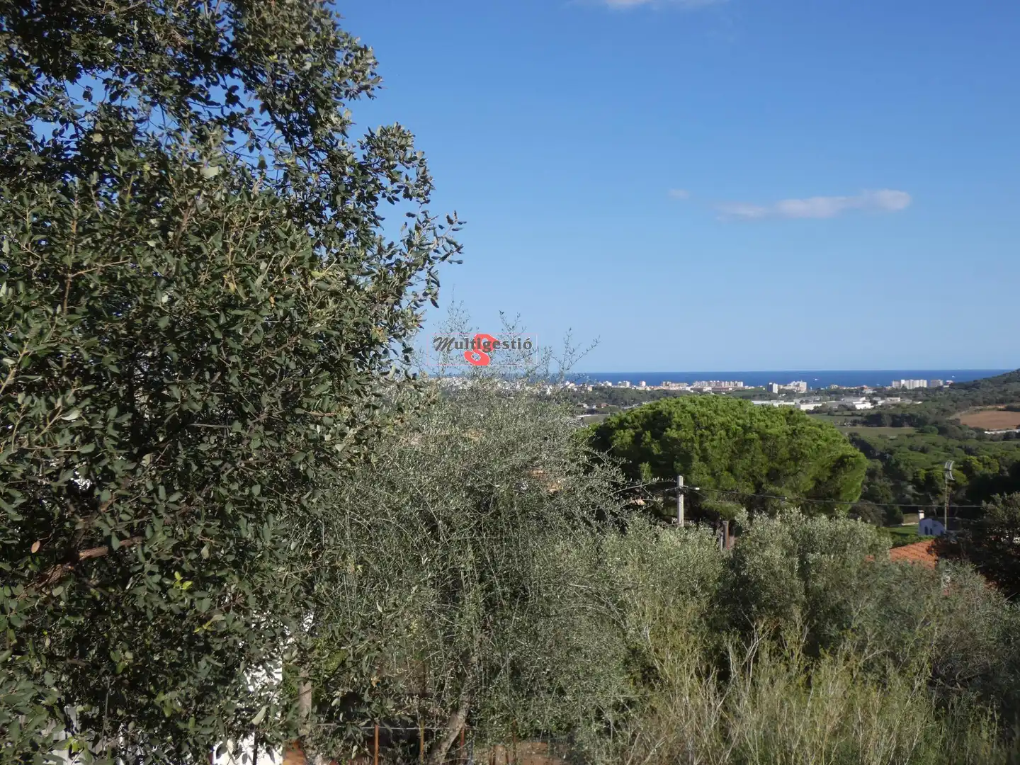 Terreny residencial en venda a Cabanyes - Mas Ambrós - Mas Pallí, imagen 8