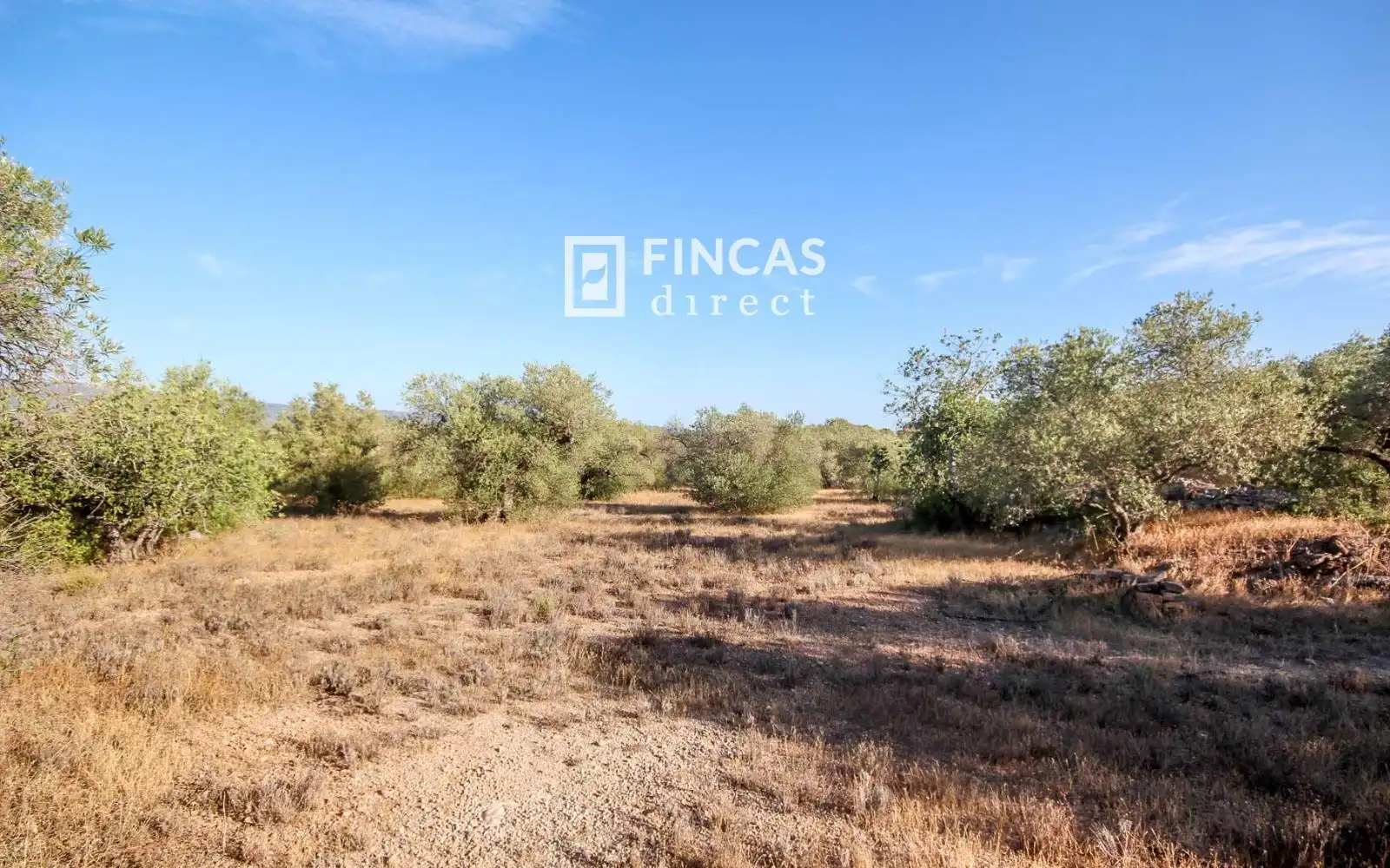 Country homes for sale in Xerta