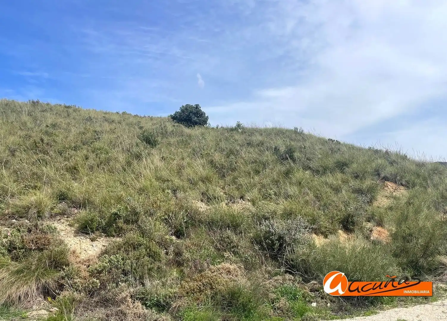 Lands and plots for sale in Antequera Golf, imagen 18