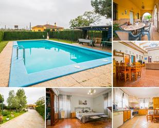 Garden of Country house for sale in Mairena del Alcor  with Air Conditioner and Swimming Pool