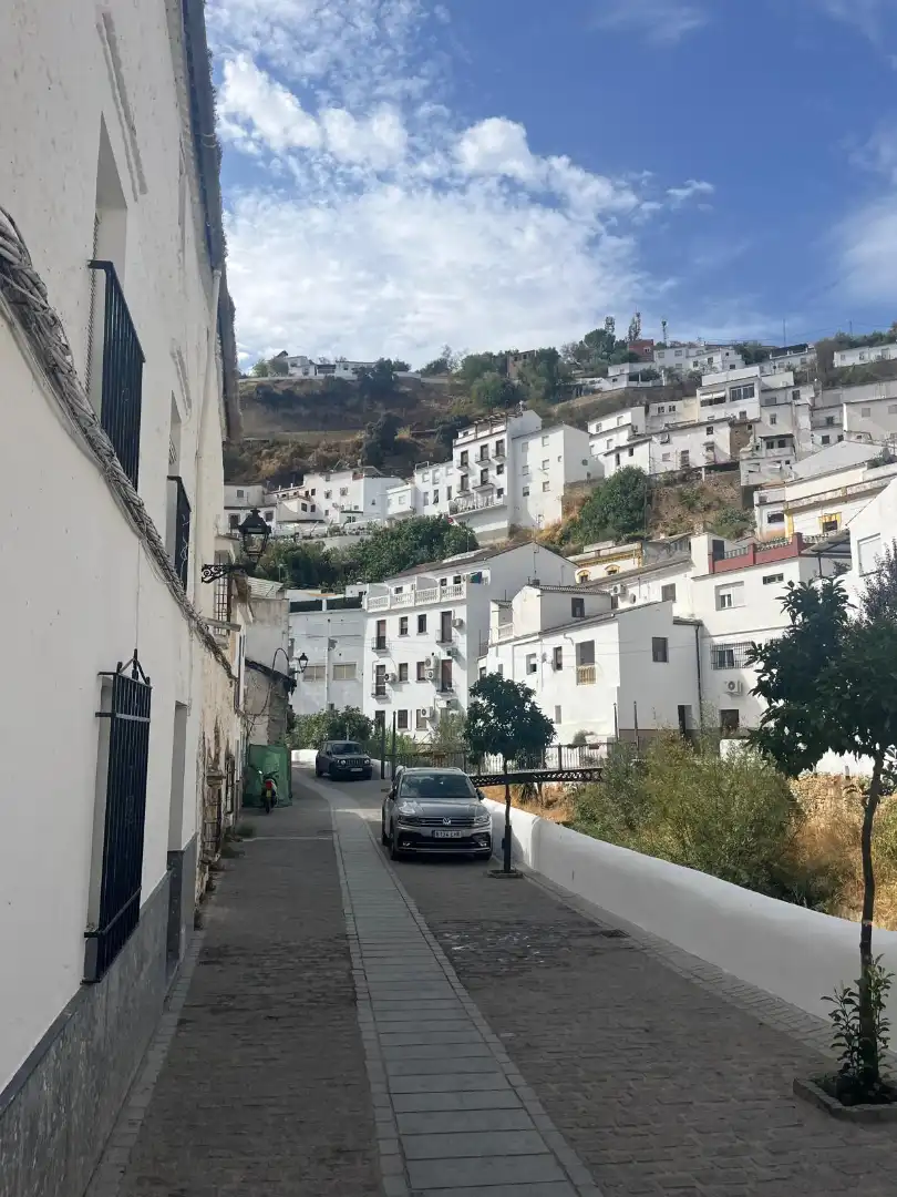 Vista exterior de Casa o chalet en venta en Setenil de las Bodegas con Jardín privado y Trastero
