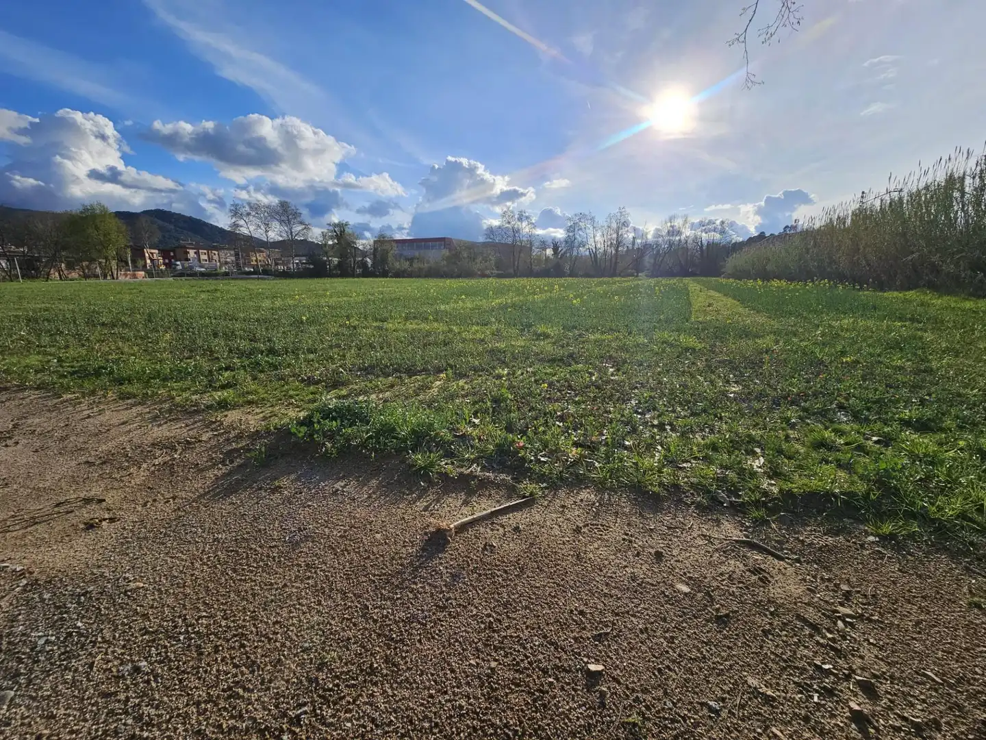 Terreno residencial en venta en Riells i Viabrea, imagen 5