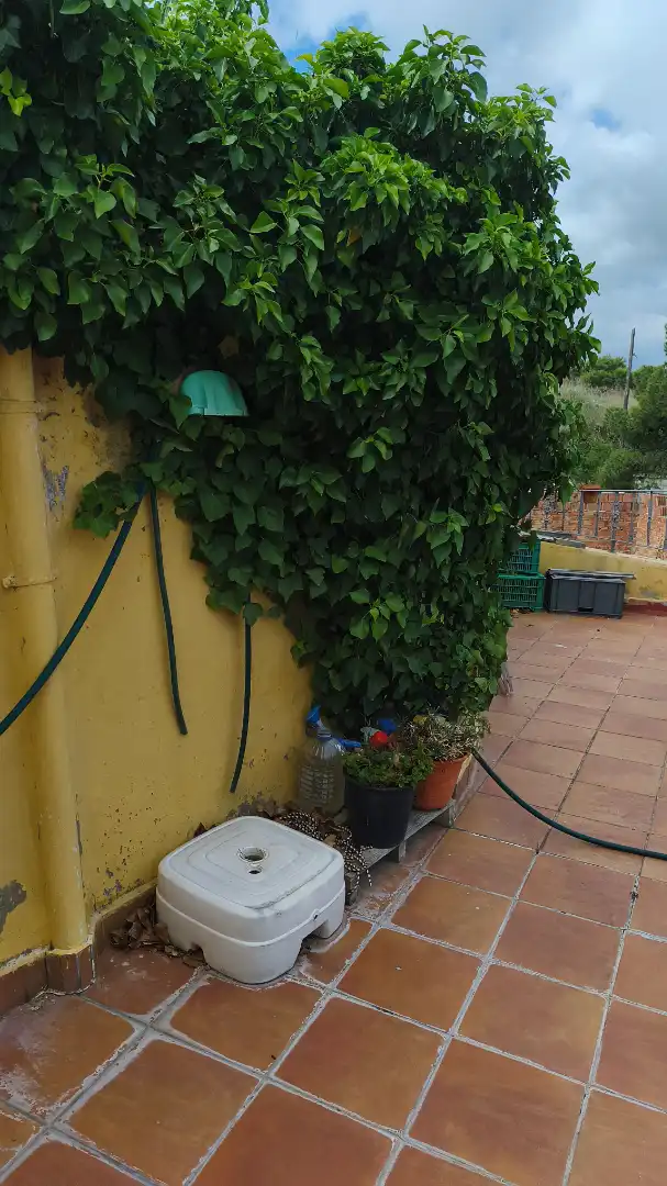 Jardí de Casa o xalet en venda en Urrea de Jalón amb Terrassa, Moblat i Forn