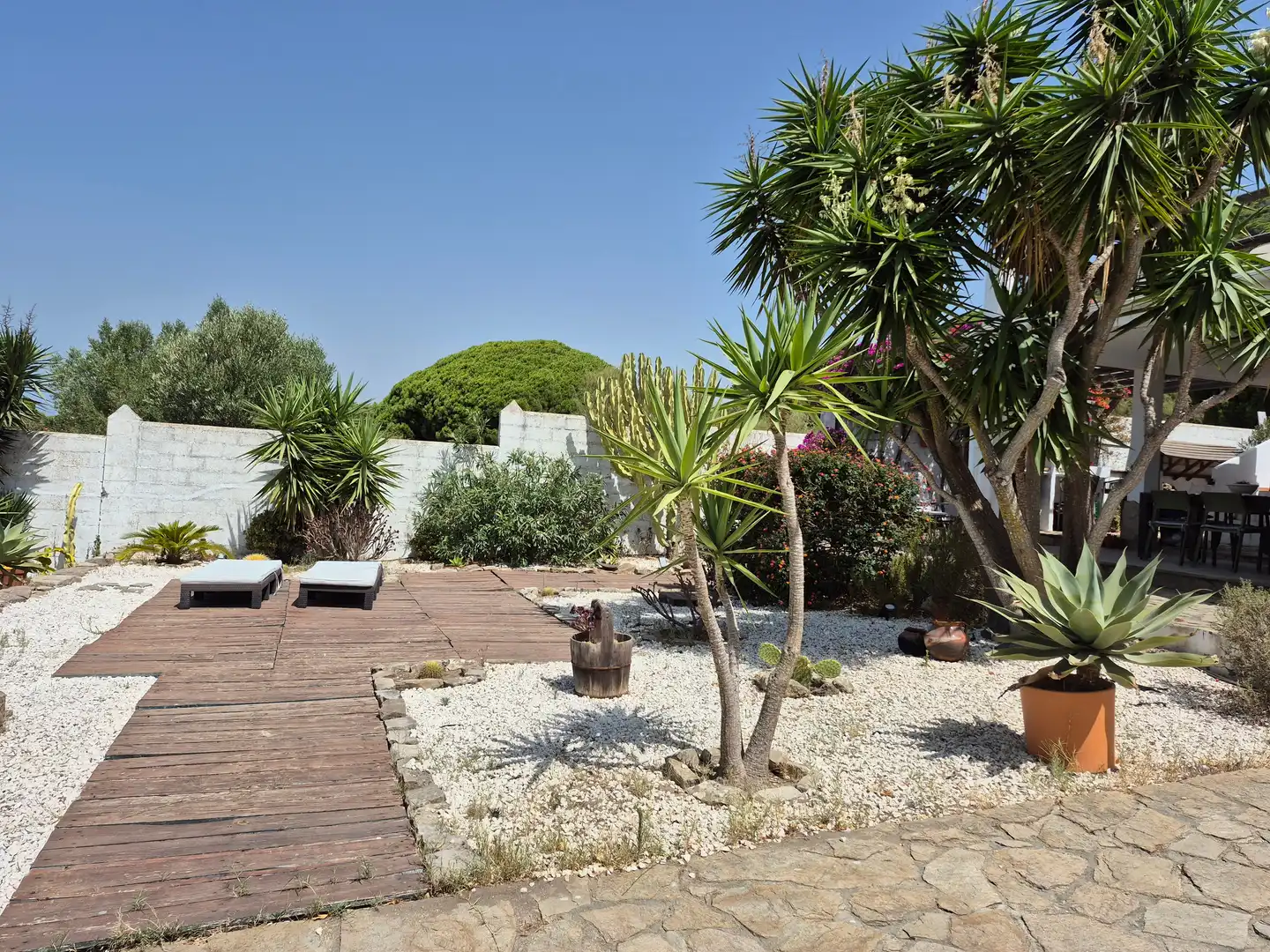 Terrace of Country homes for sale in Barbate  with Terrace