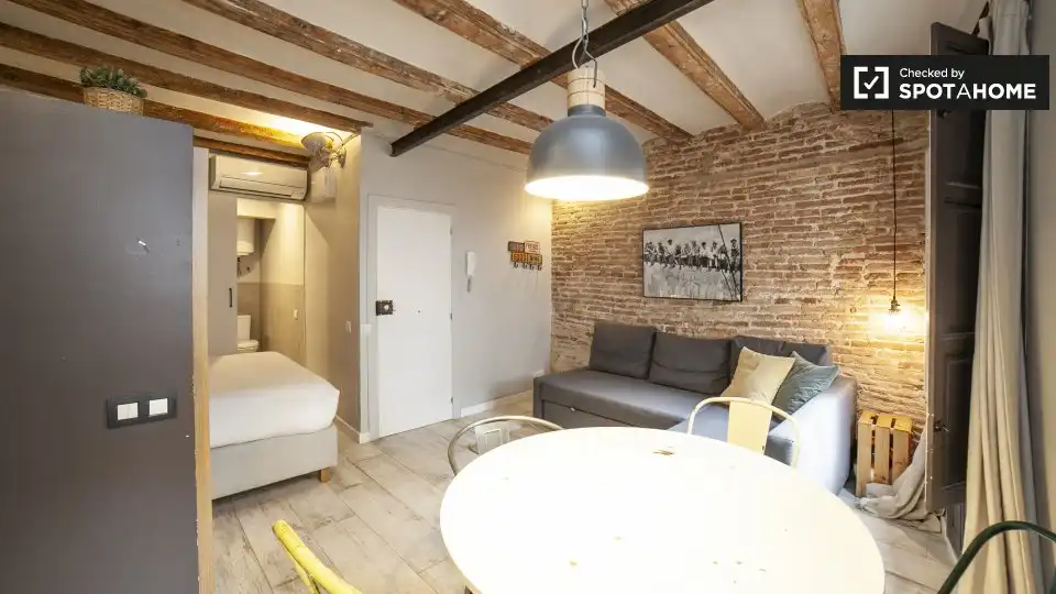 Appartamento con terrazza in affitto a Ciutat Vella, imagen 3