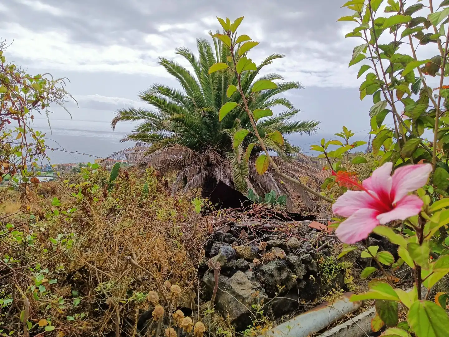 Exterior view of Houses for sale in Breña Baja