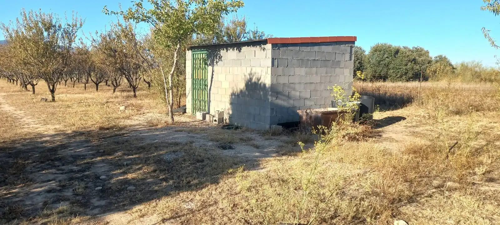 Vista exterior de Finca rústica en venta en Cazalegas con Jardín privado
