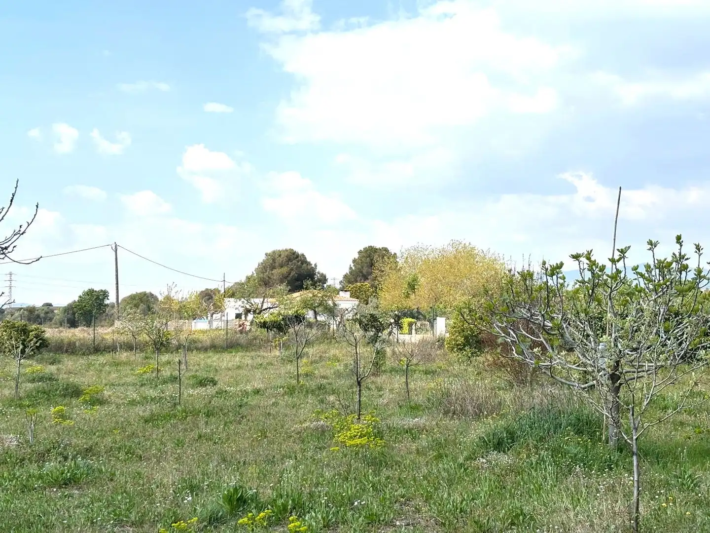 Rural land for sale in Santa Oliva, imagen 21