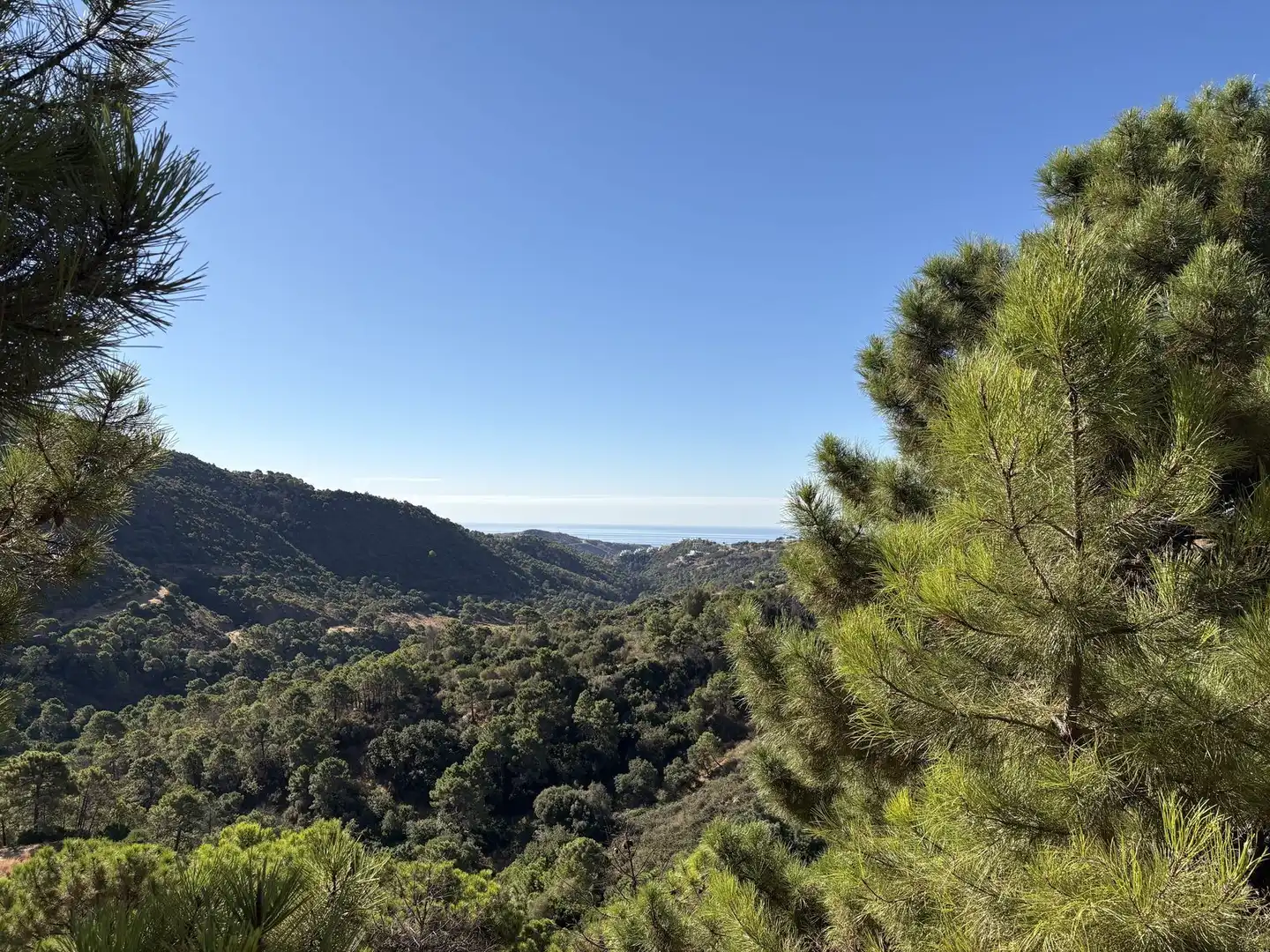 Terreno residencial en venta en Benahavís pueblo, imagen 10