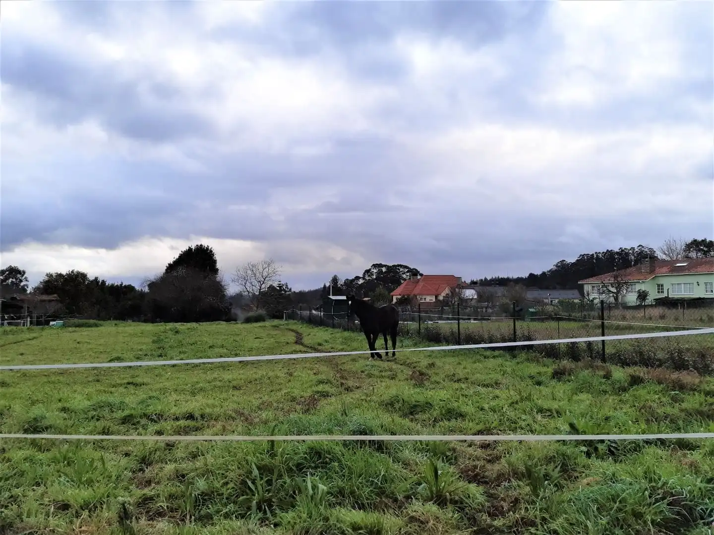 Terreni e lotti in vendita a Castelo, imagen 6