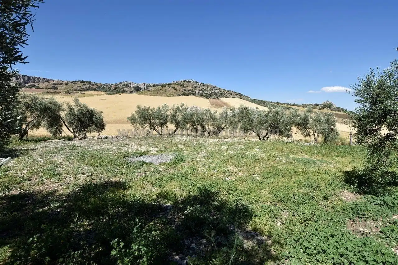 Terreny residencial en venda a Cuevas del Becerro, imagen 11