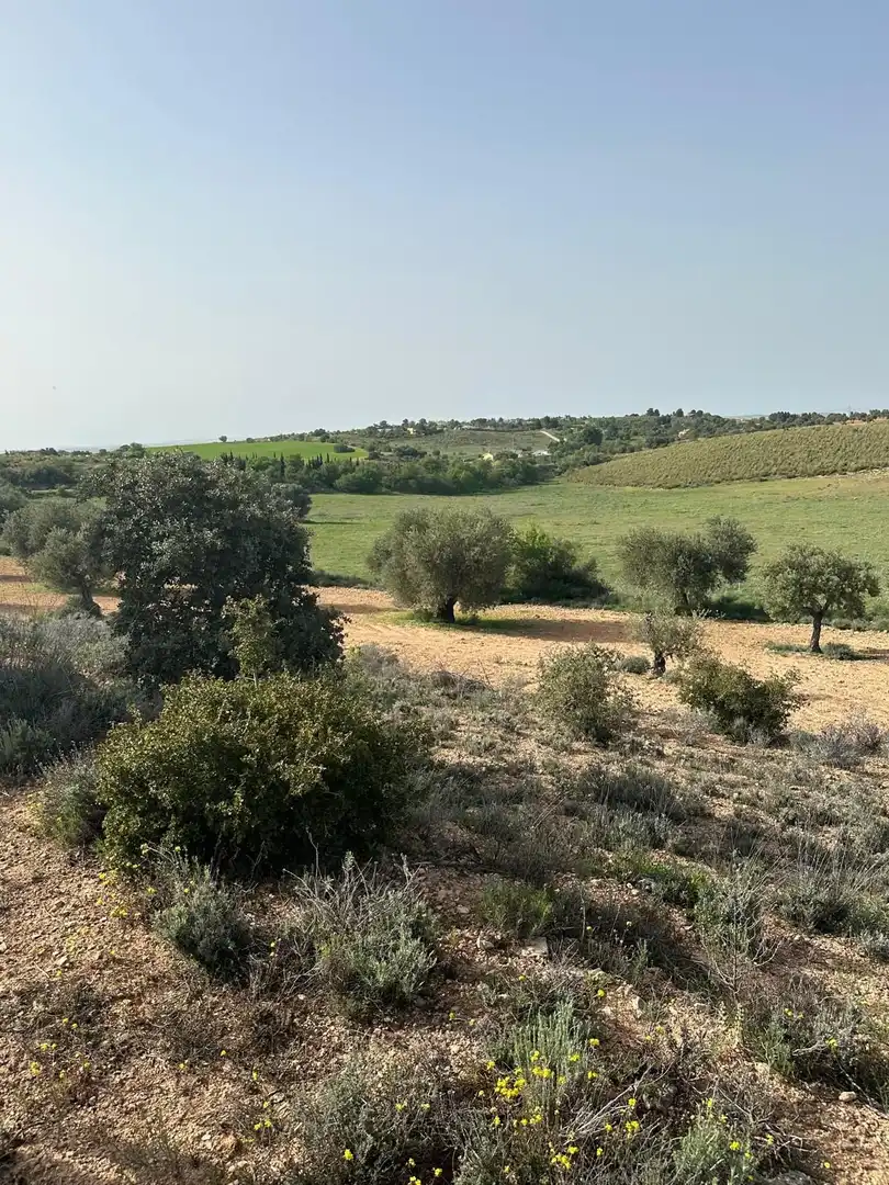 Terreno en venta en Morata de Tajuña