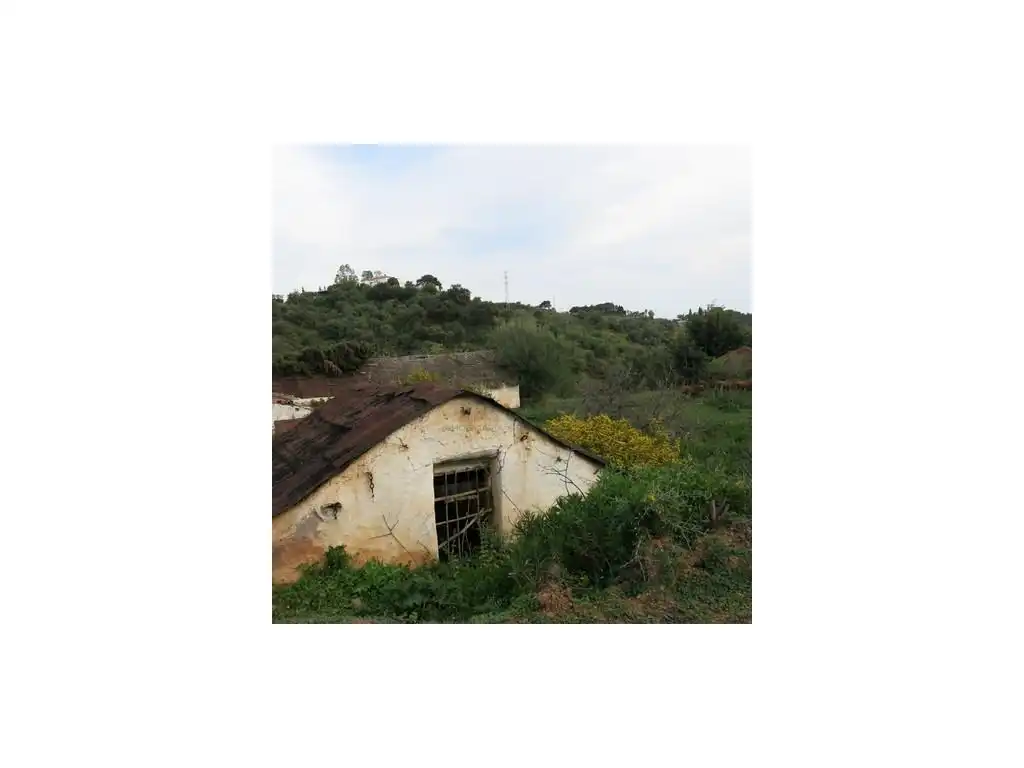 Finca rústica en venta en Estepona