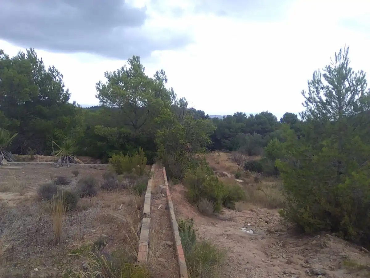 Casa rústica en venta en Algímia de Alfara, imagen 4