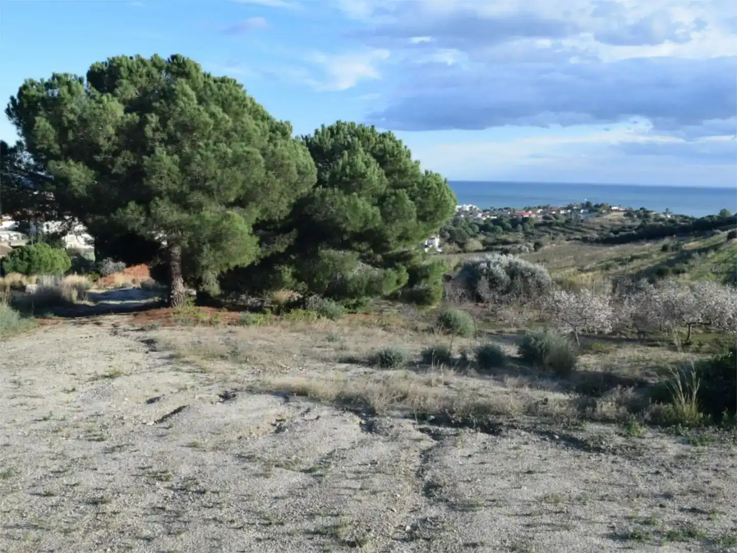 Casa o chalet en venta en Alella