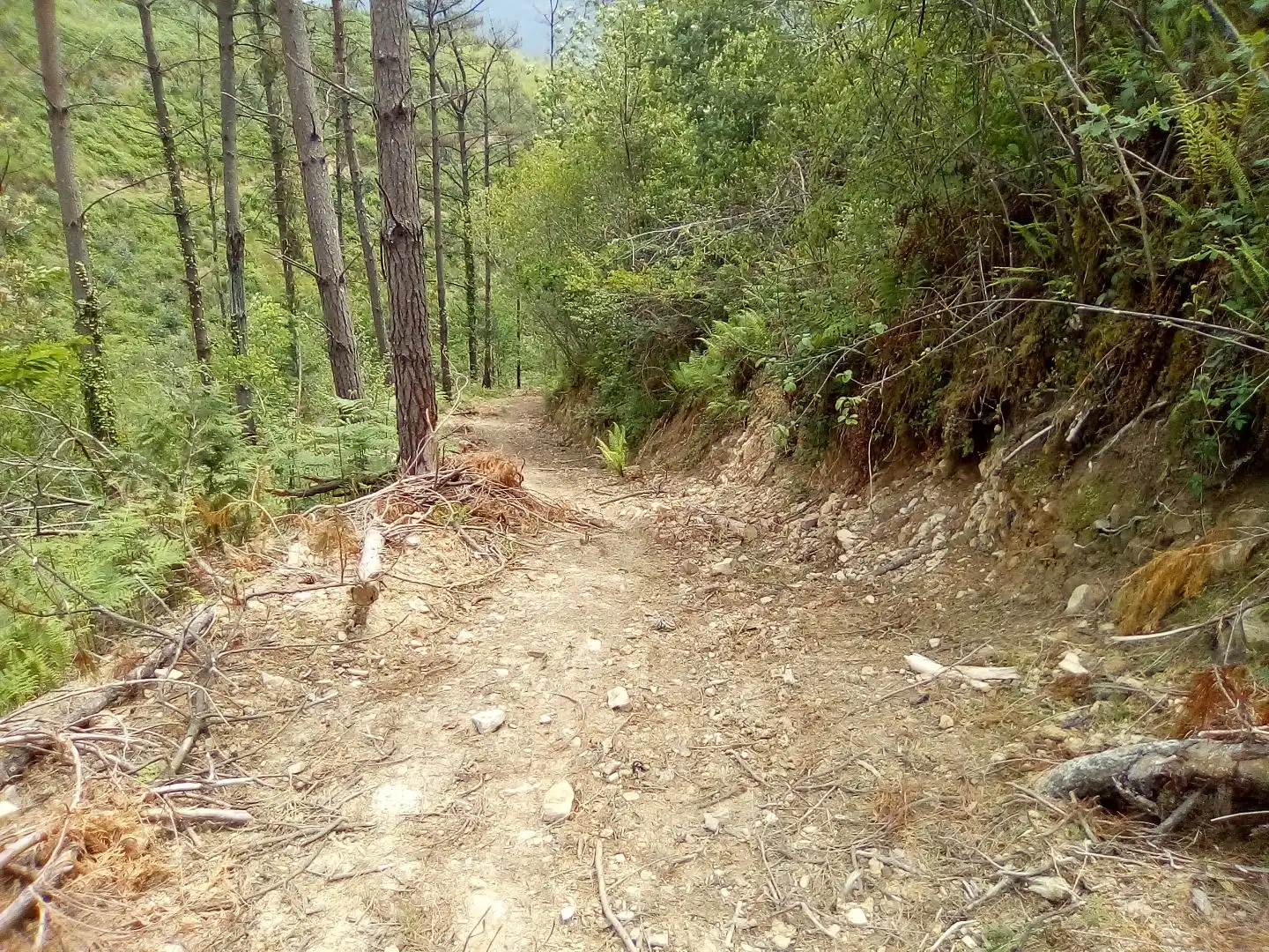 Exterior view of Land for sale in Aulesti