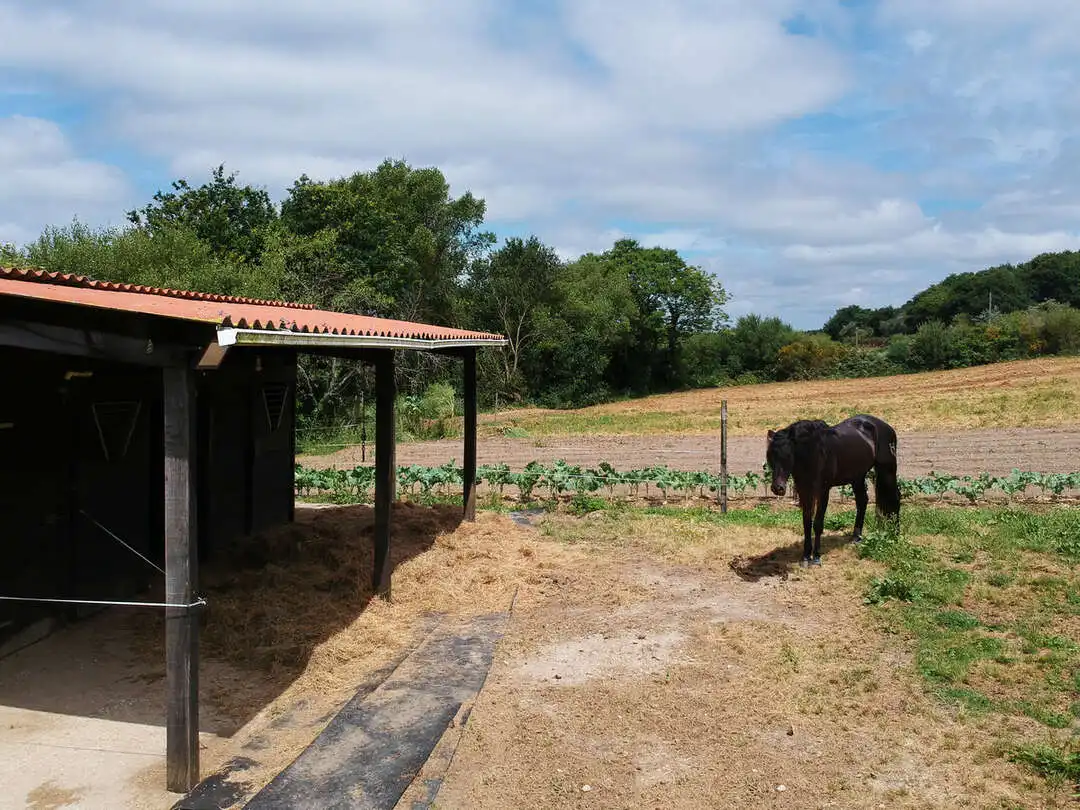 Casa o chalet de alquiler en Aranga con Calefacción y Amueblado