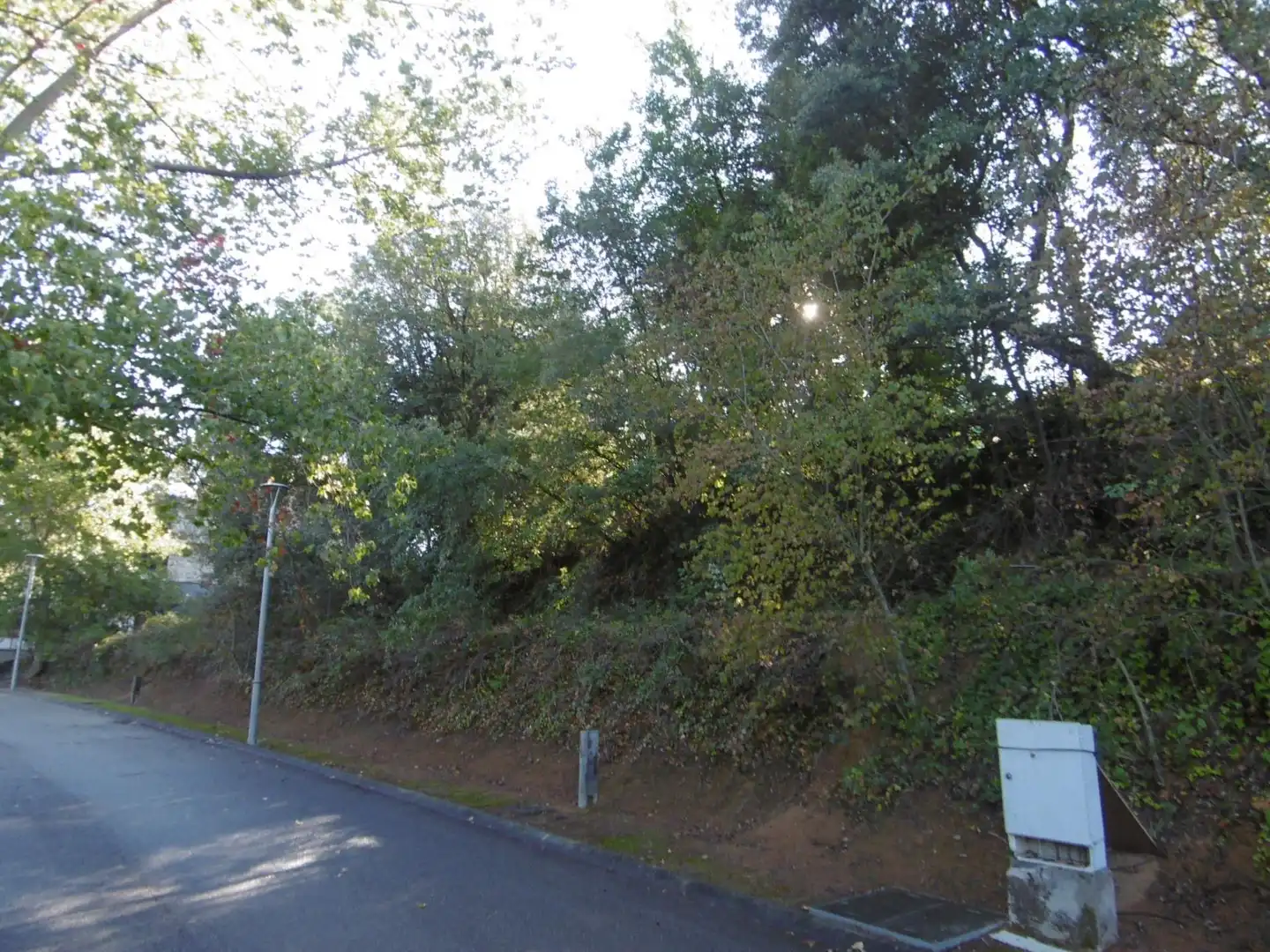 Terreno residencial en venta en 36 #parcela 36, imagen 4