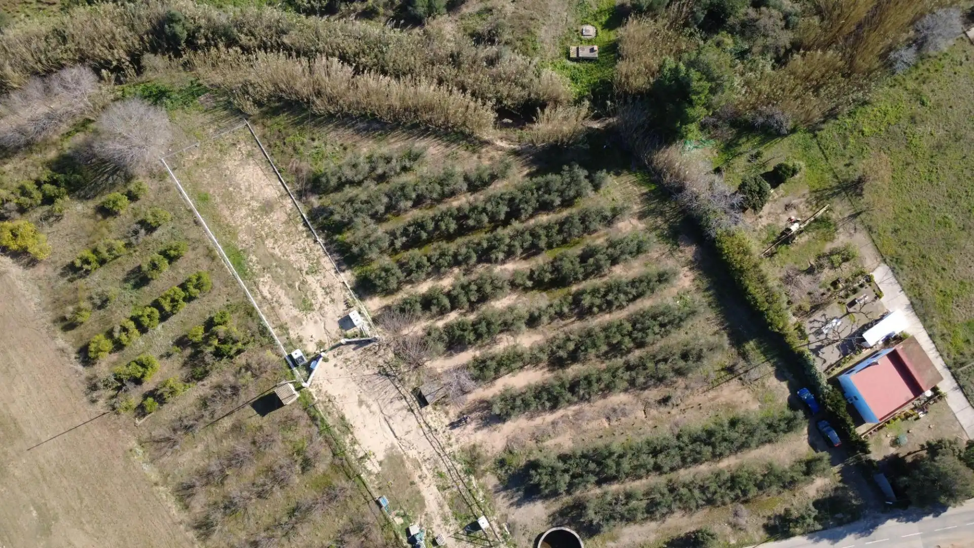Lands and plots for sale in Carrer poligono 10, parcela 63, imagen 5