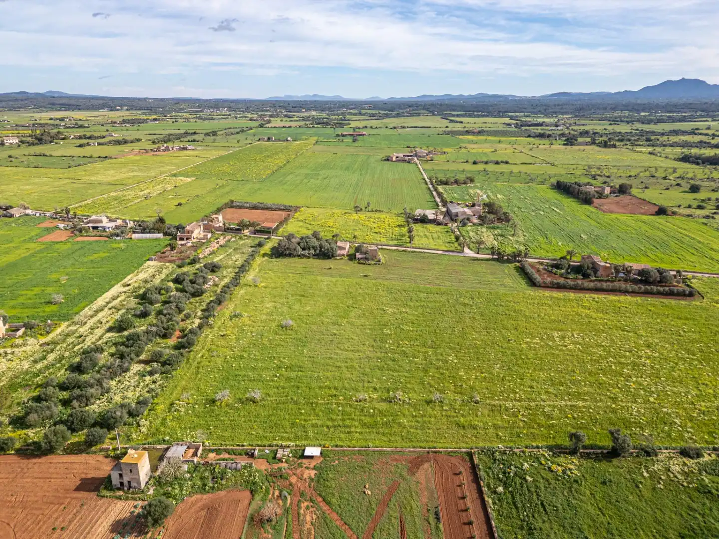 Rustikales Grundstück zum Verkauf in Campos poble, imagen 10