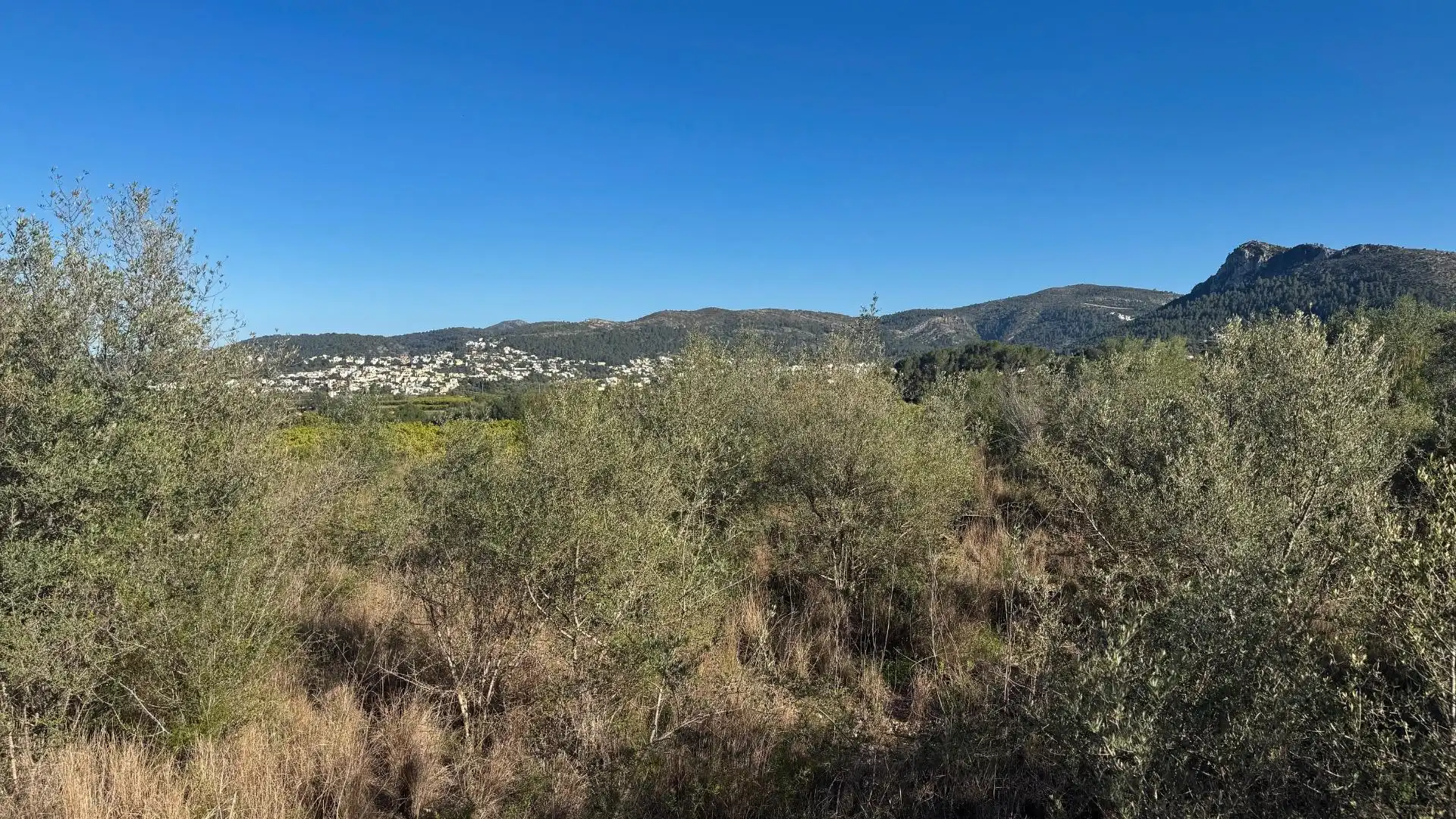 Terrenys i solars en venda a Orba, imagen 9