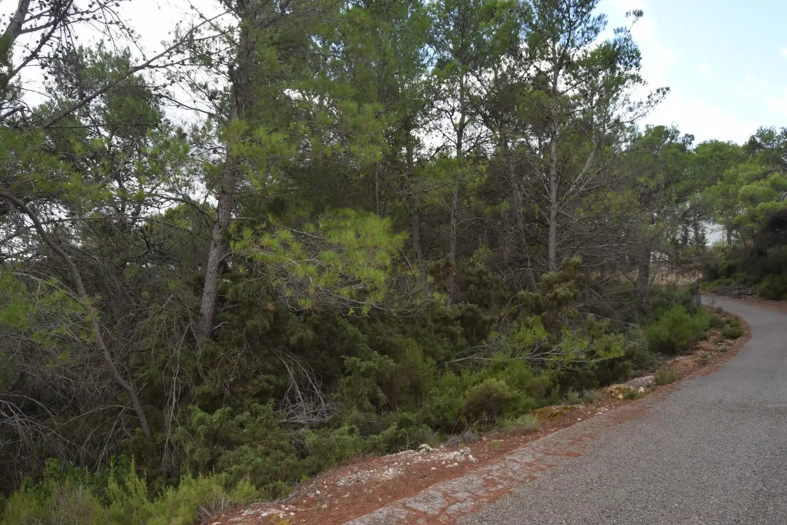 Residential land for sale in Calle Nueva Sierra CR
