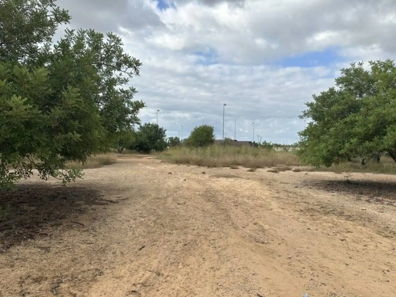Terreno rústico en venta en Camino la formiga