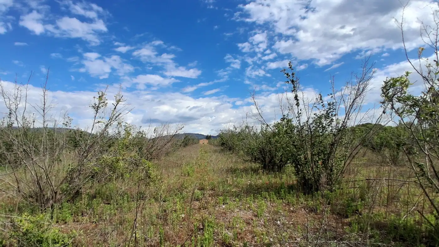 Terreno en venta en El Milà