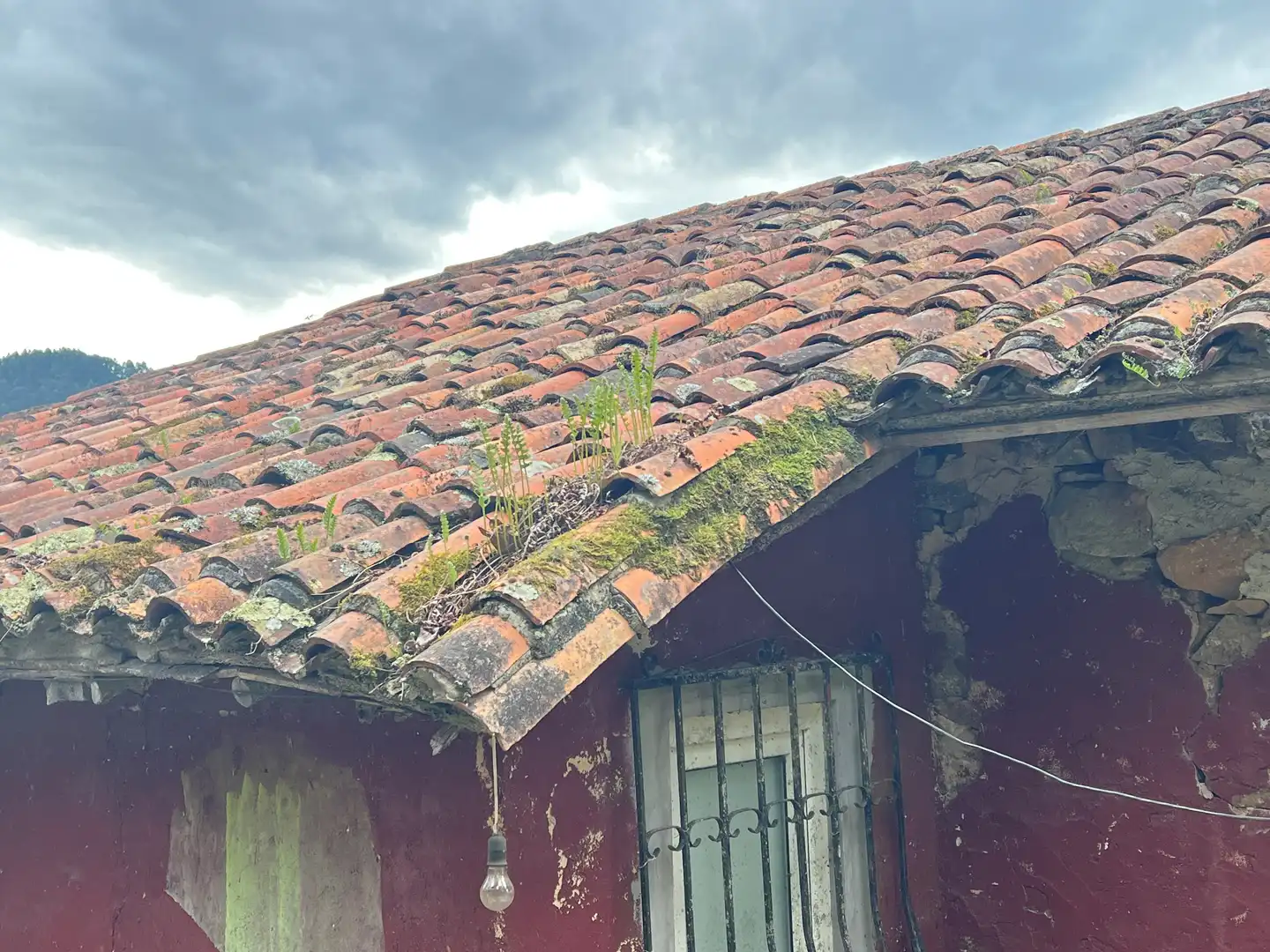 Finca rústica en venta en Candamo