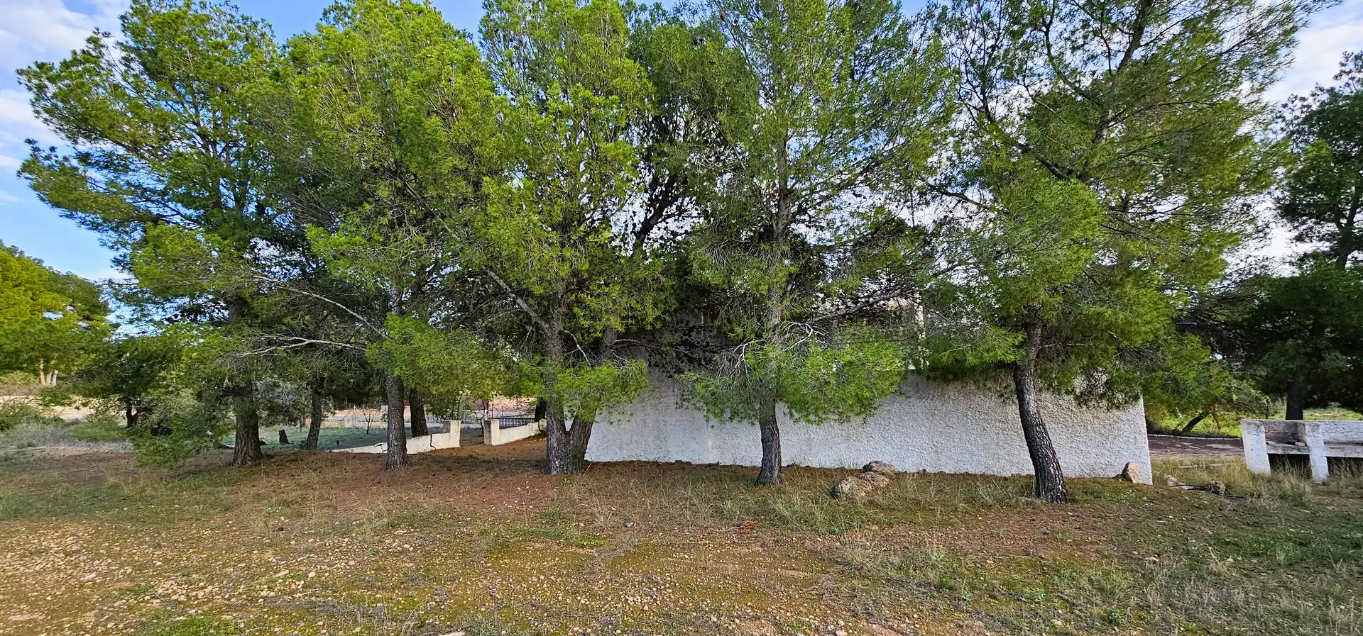 Chalet con jardín en venta en Aledo, imagen 14