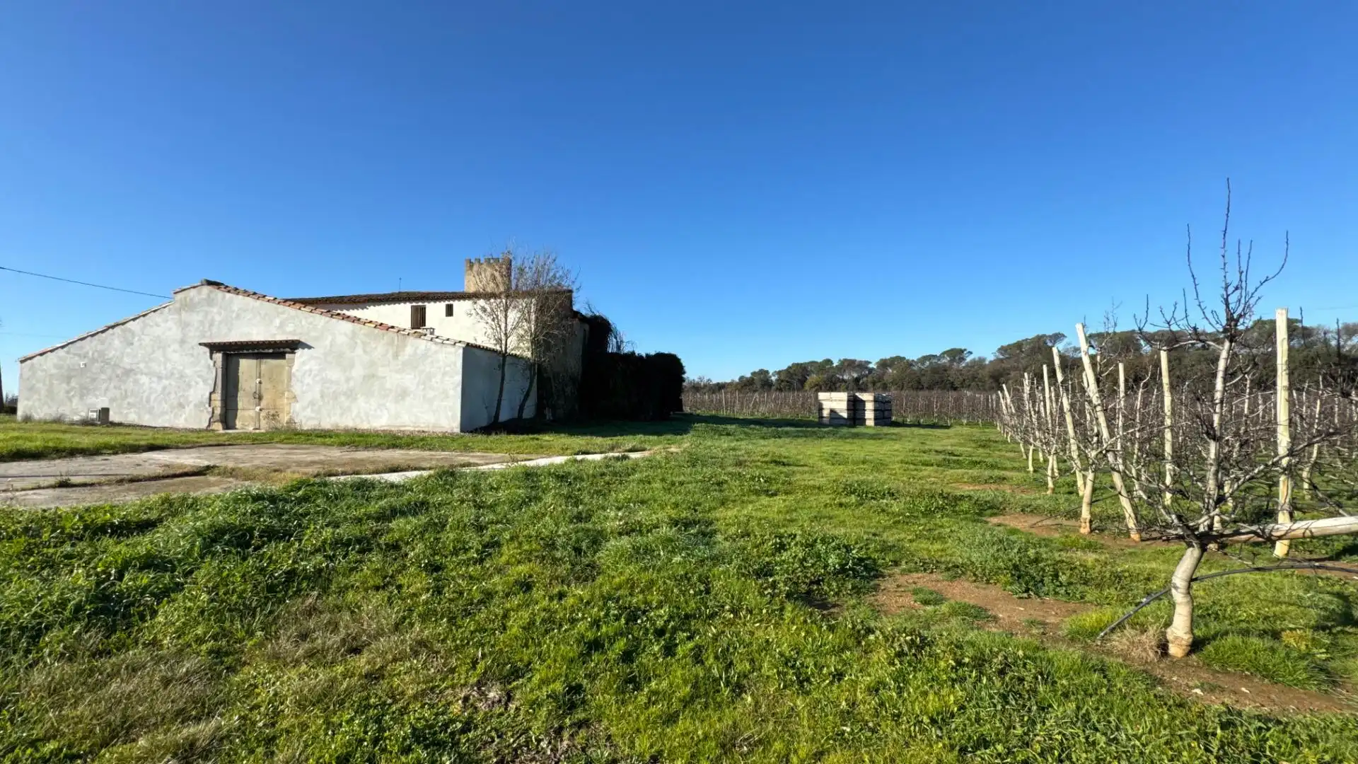 Finca rústica en venta en Campllong