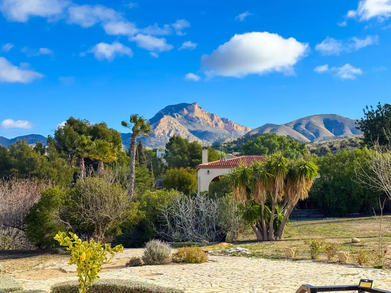 Vista exterior de Finca rústica en venda en Petrer amb Aire condicionat, Calefacció i Jardí privat