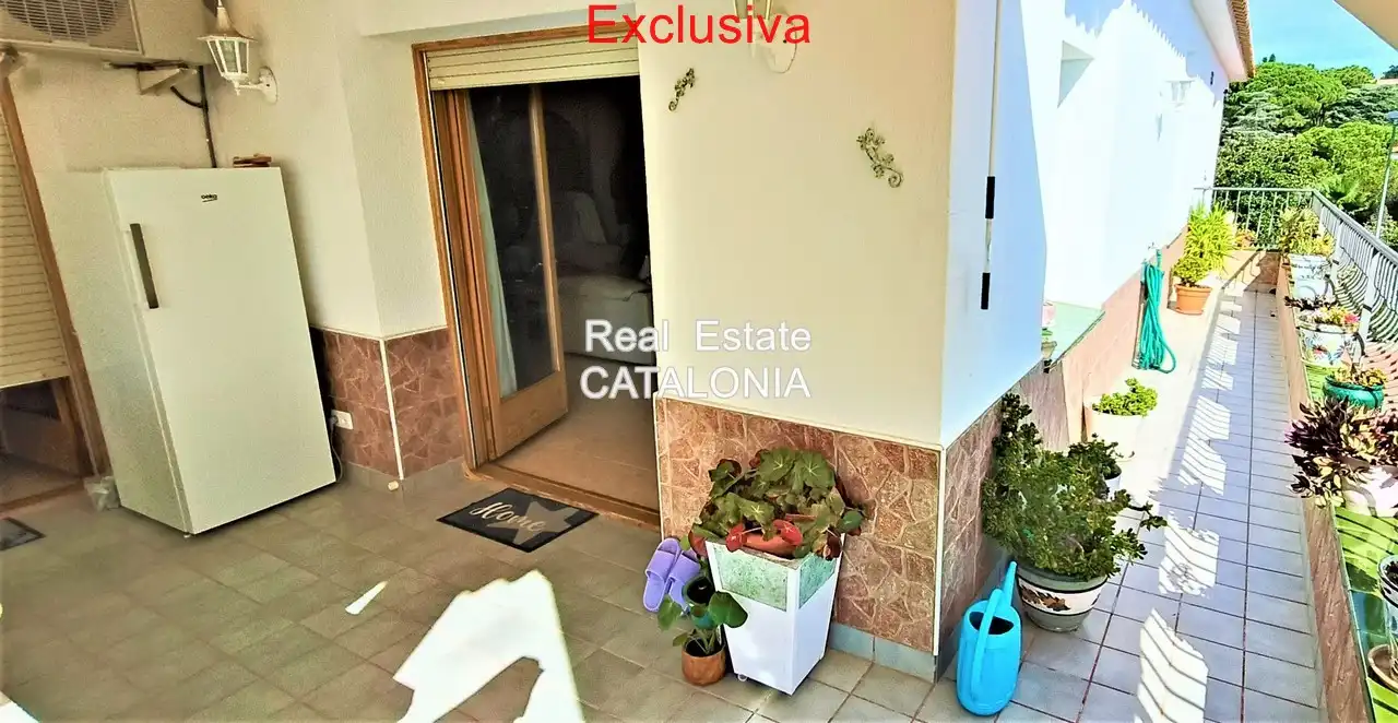 Casa o xalet en venda a Avinguda Mare de Déu de Gràcia, Condado del Jaruco - Puigventós