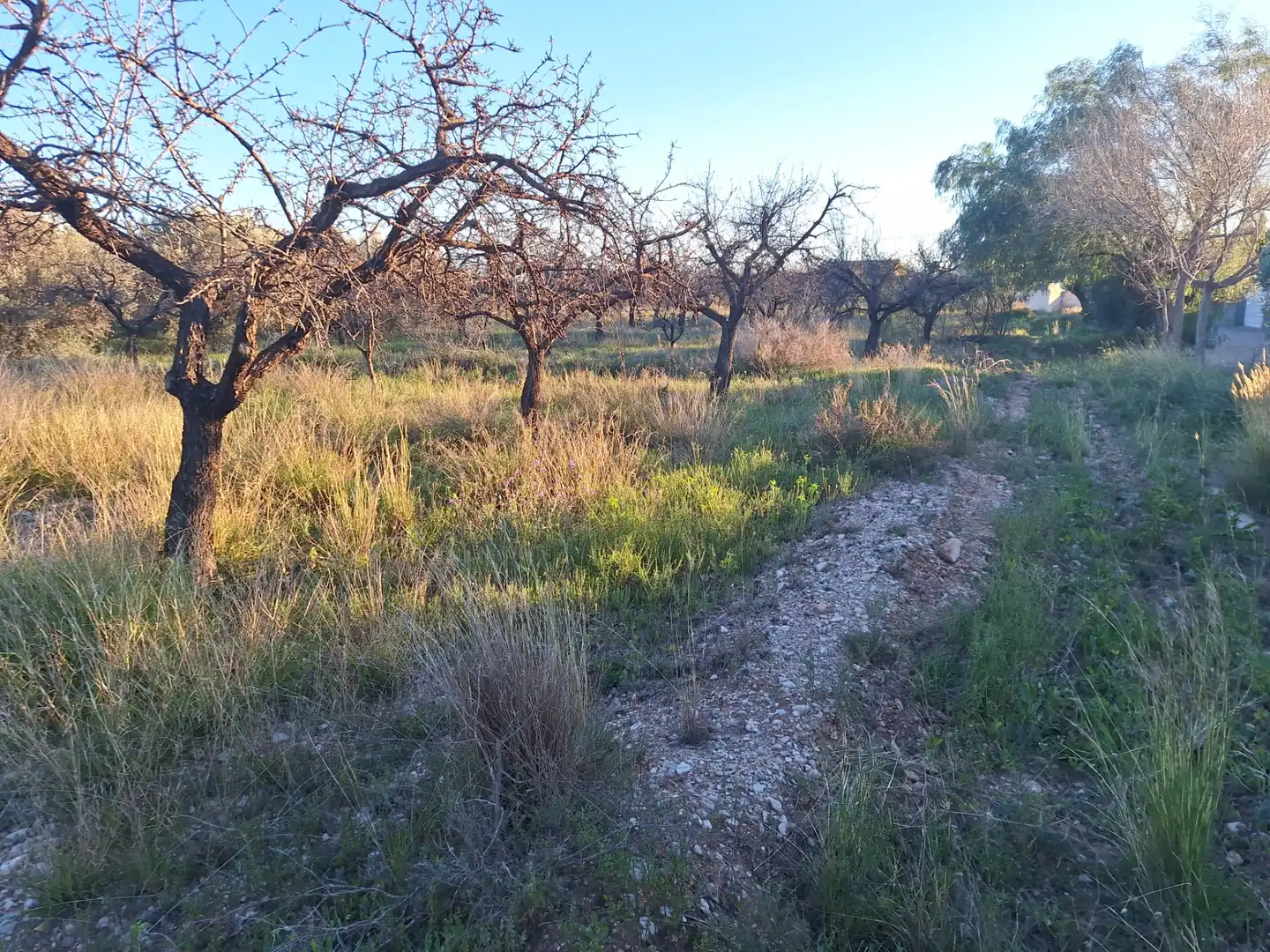 Terreny en venda en San Vicente del Raspeig / Sant Vicent del Raspeig