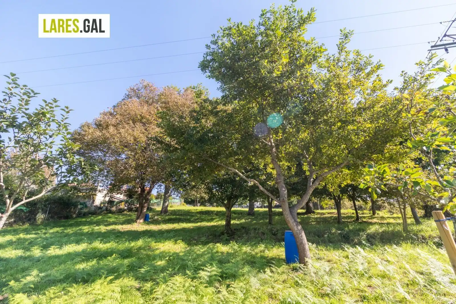 Maison à vendre à Lugar Costeira, imagen 24