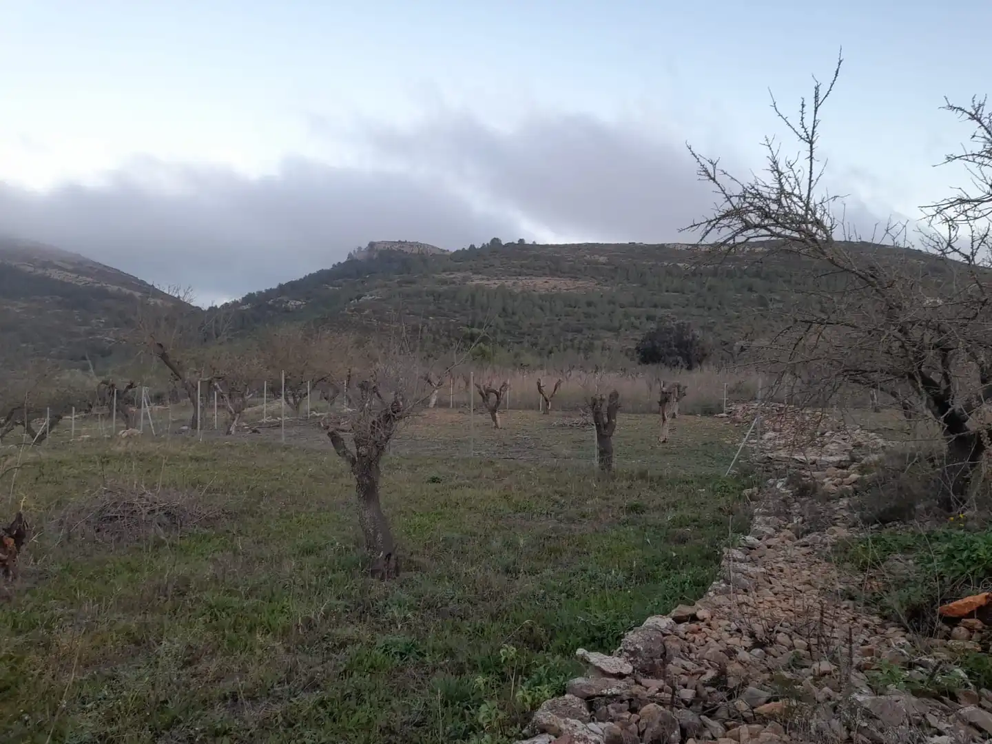 Finca rústica en venta en Llíber con Amueblado