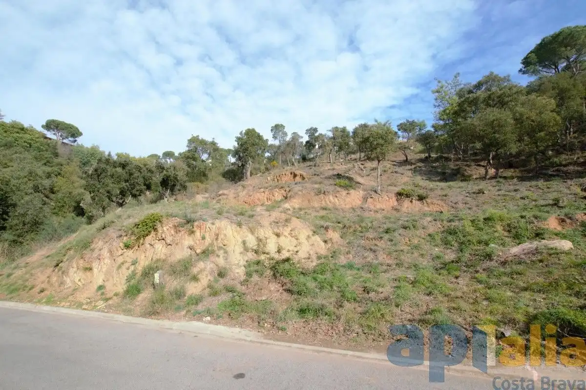 Residential land for sale in Carrer Eucaliptus