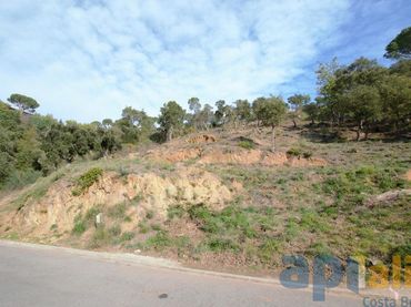 Wohnbaugrundstück zum Verkauf in Carrer Eucaliptus